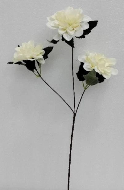 Dahlia Stick x 3